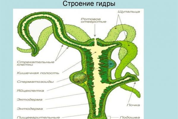 Сайт купить гашиш